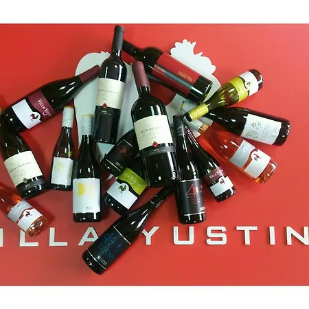 Guest house Yustina Ustina